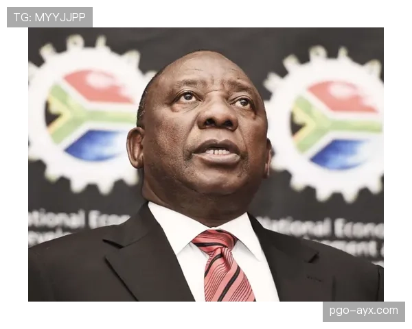 法蒂状态持续攀升，未来之星表现引全球瞩目