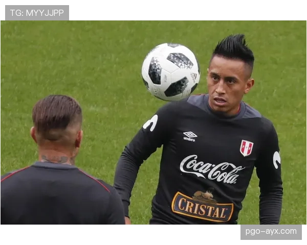 秘鲁队中场组织