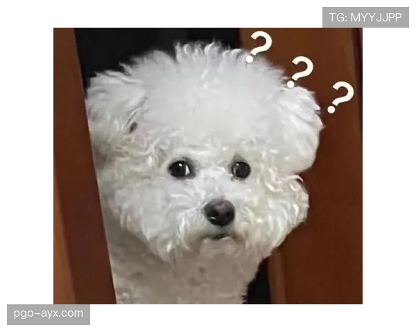 刚刷到吴柳芳回家——手拿外卖，包被专人拎，隔壁大妈表情写满问号